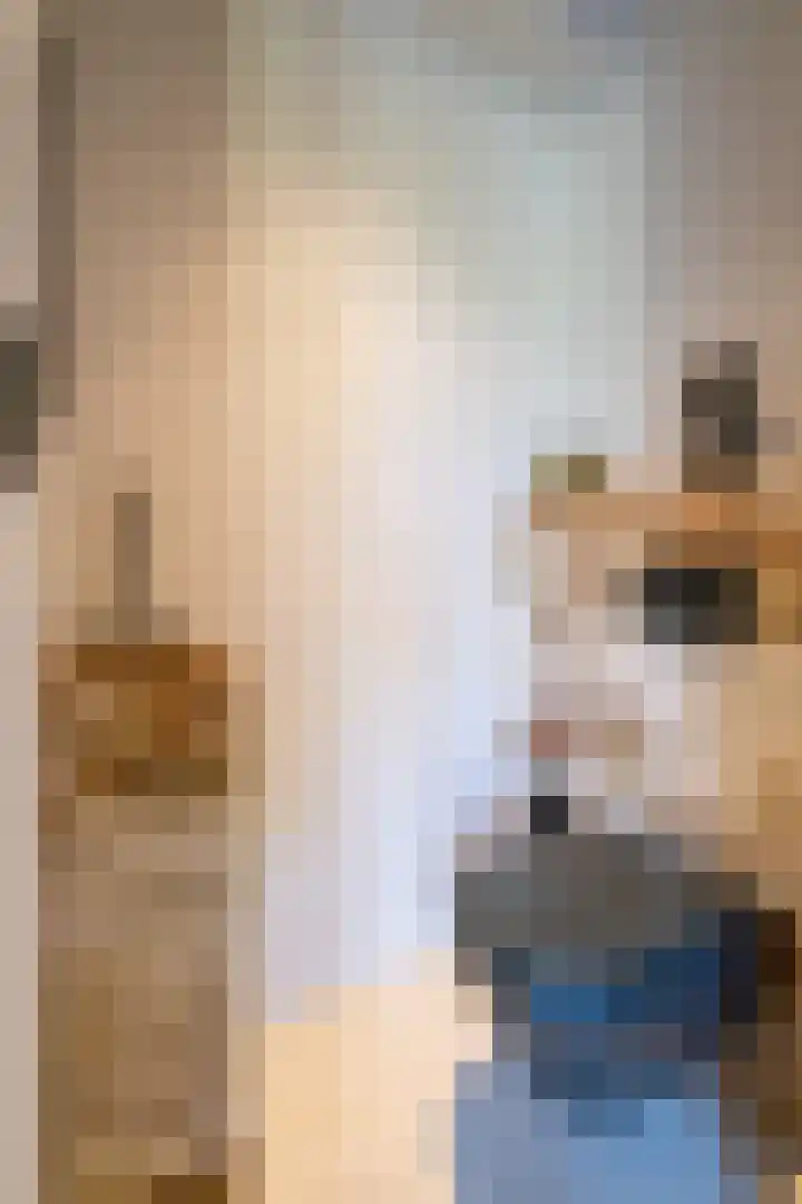 Demmerik 49 Vinkeveen thumbnail 20
