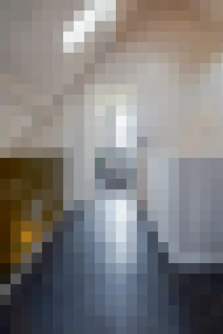 Demmerik 49 Vinkeveen thumbnail 21