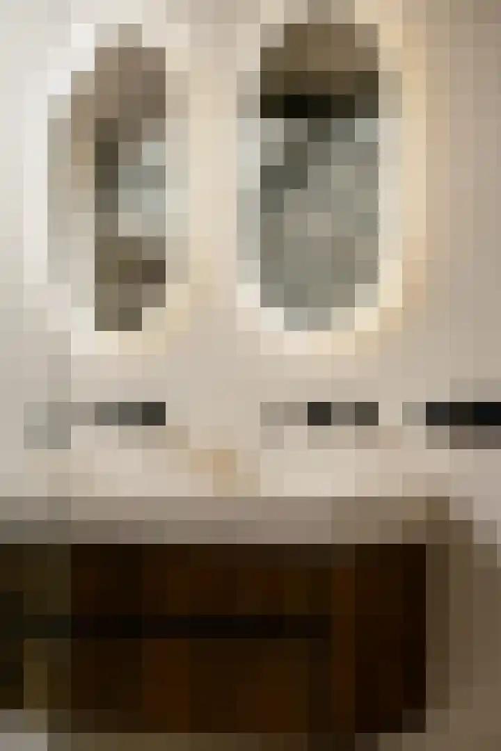 Demmerik 49 Vinkeveen thumbnail 25