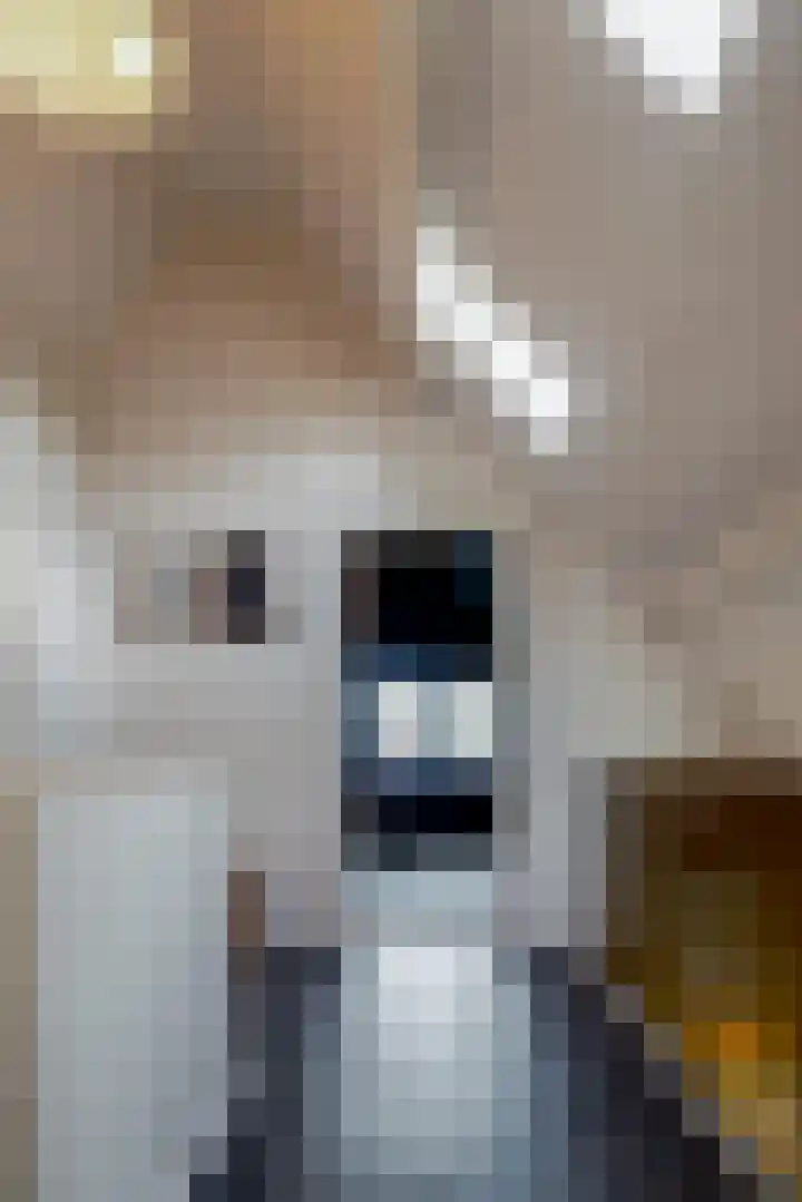 Demmerik 49 Vinkeveen thumbnail 27
