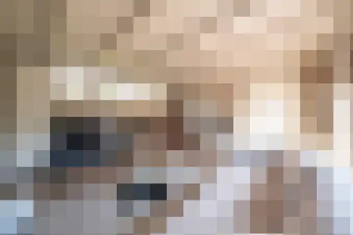 Demmerik 49 Vinkeveen thumbnail 34