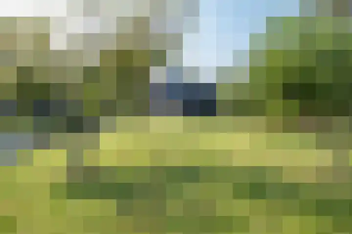 Demmerik 49 Vinkeveen thumbnail 42