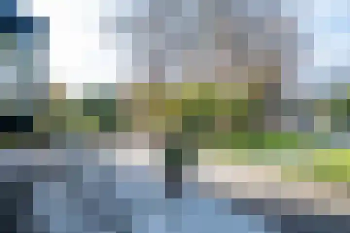 Demmerik 49 Vinkeveen thumbnail 44