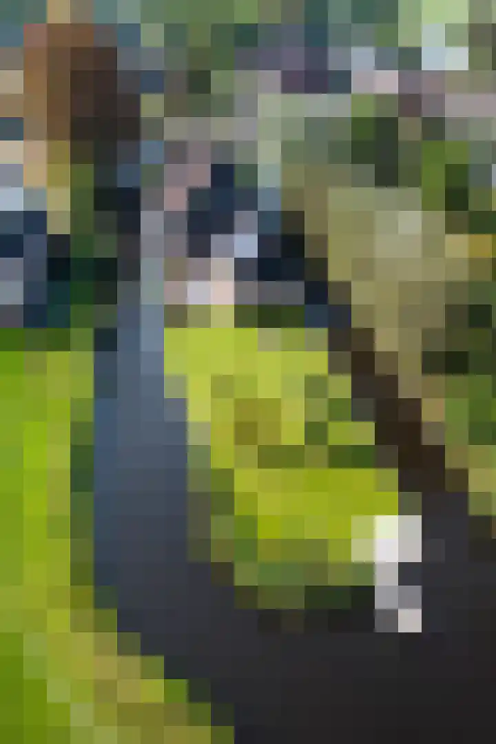 Demmerik 49 Vinkeveen thumbnail 47