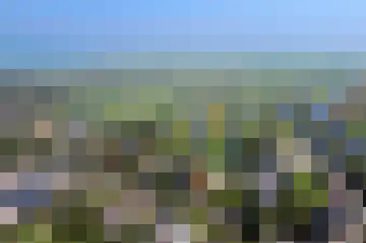Demmerik 49 Vinkeveen thumbnail 48