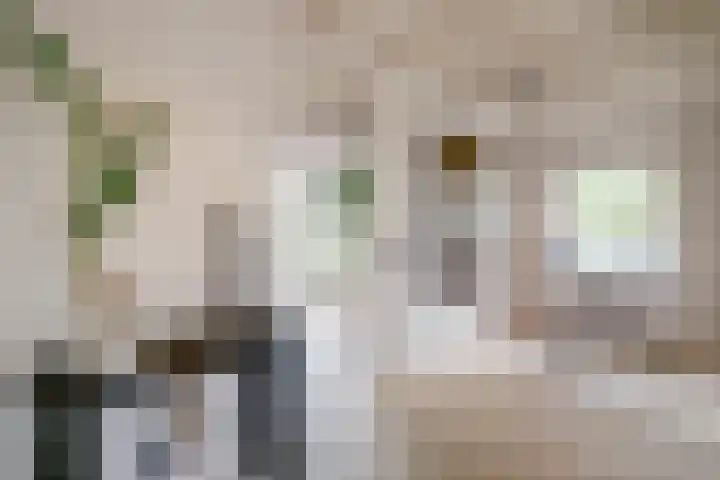 Demmerik 49 Vinkeveen thumbnail 8