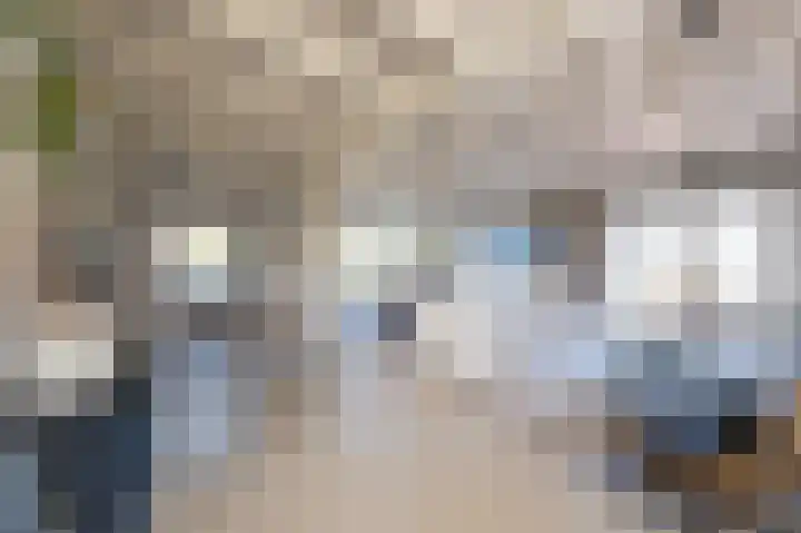 Demmerik 49 Vinkeveen thumbnail 9