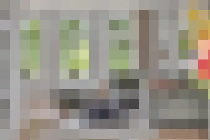 Den Bleek 36 Heusden thumbnail 12