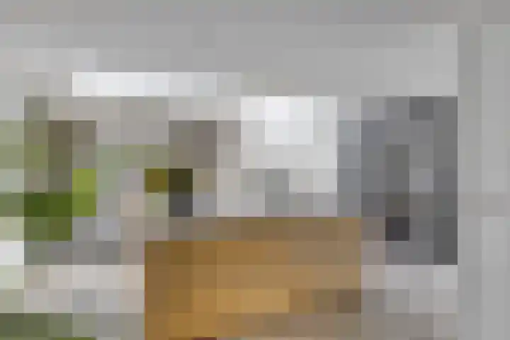 Den Bleek 36 Heusden thumbnail 17