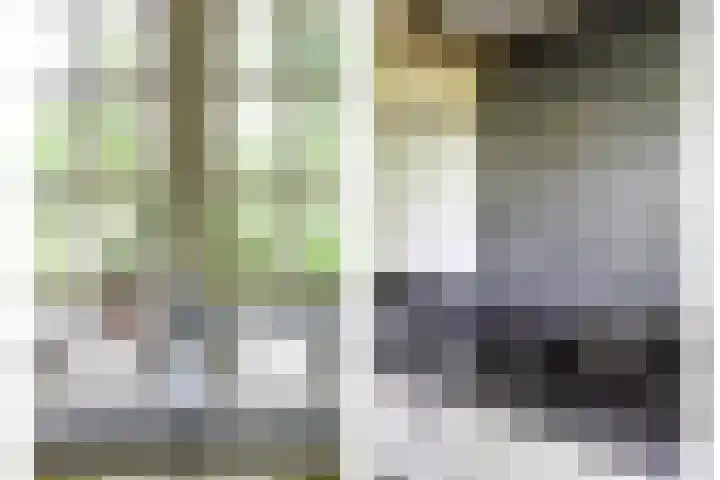den Blieklaan 41 Soest thumbnail 13