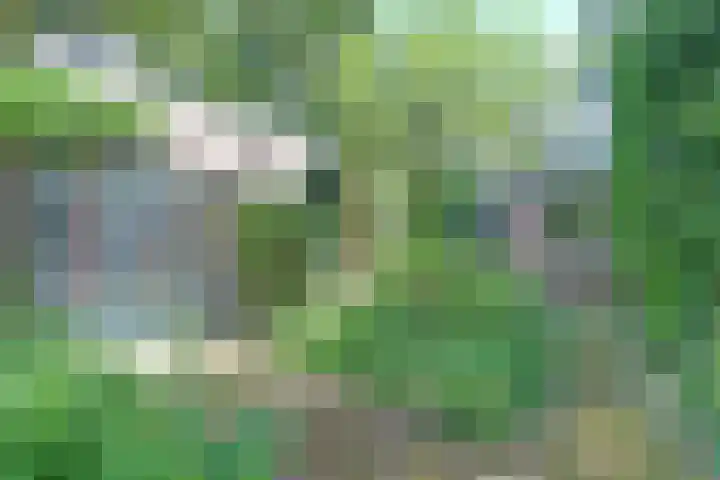den Blieklaan 41 Soest thumbnail 23