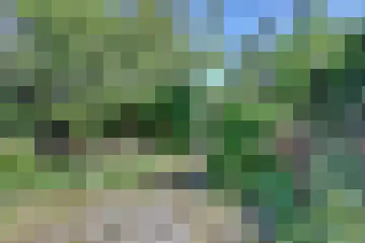 den Blieklaan 41 Soest thumbnail 25