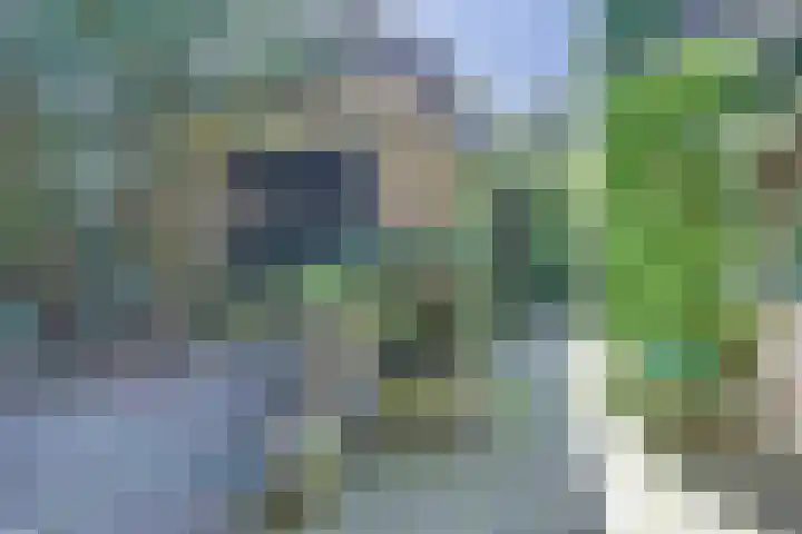 den Blieklaan 41 Soest thumbnail 27