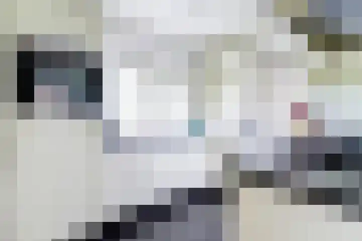 den Blieklaan 41 Soest thumbnail 4