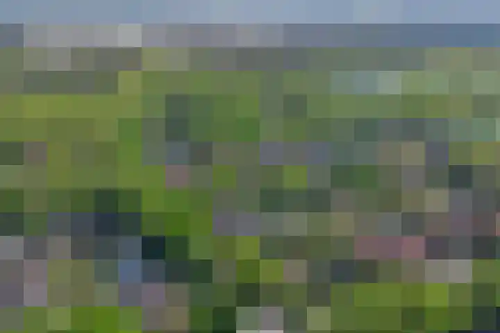 den Blieklaan 41 Soest thumbnail 44
