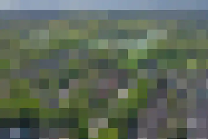 den Blieklaan 41 Soest thumbnail 45