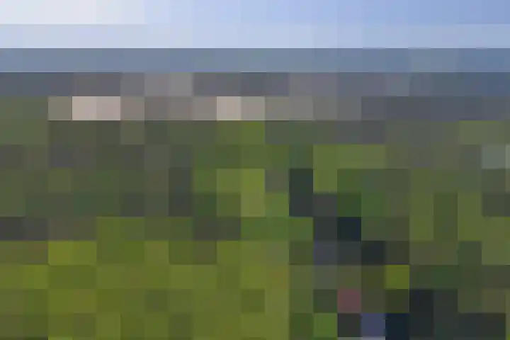 den Blieklaan 41 Soest thumbnail 46