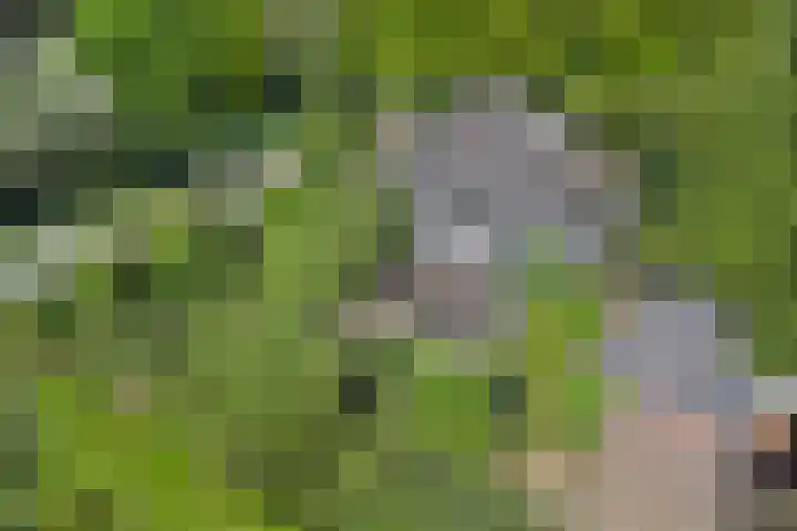 den Blieklaan 41 Soest thumbnail 47