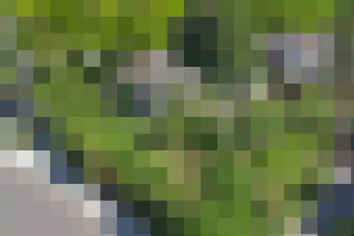 den Blieklaan 41 Soest thumbnail 56