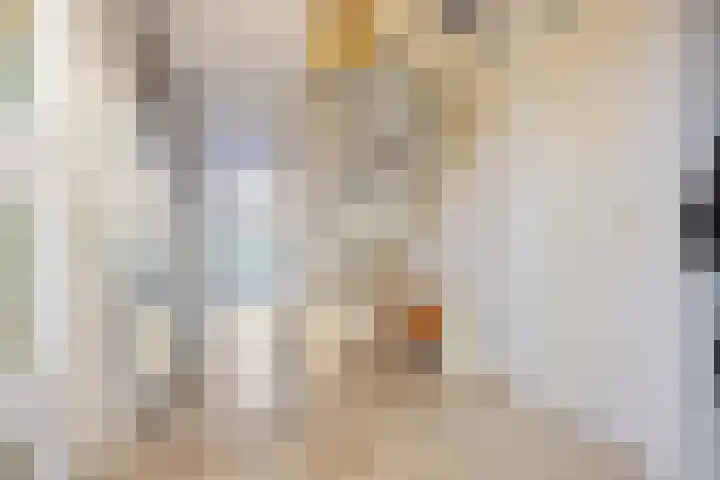 Den Bogerd 16 Esch thumbnail 10