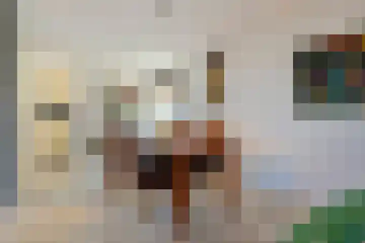 Den Bogerd 16 Esch thumbnail 17