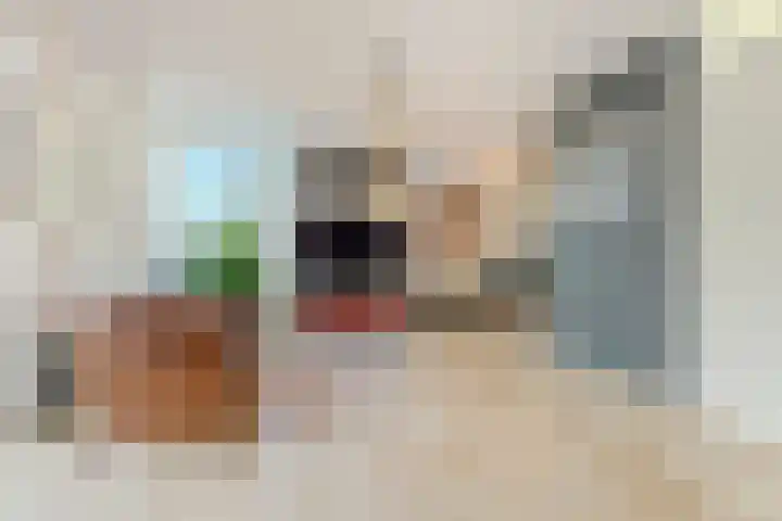 Den Bogerd 16 Esch thumbnail 18