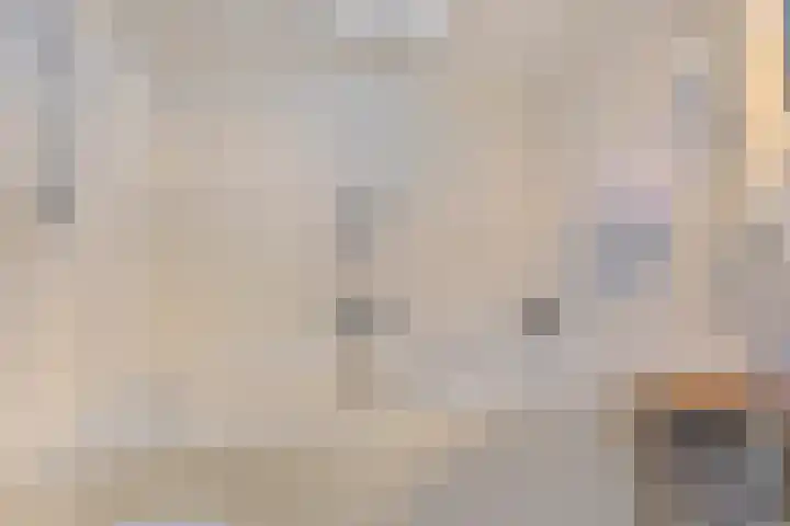 Den Bogerd 16 Esch thumbnail 28