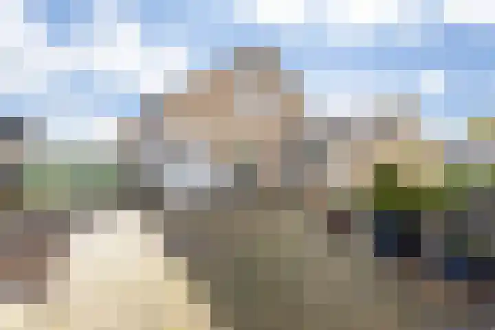 Den Bogerd 16 Esch thumbnail 34