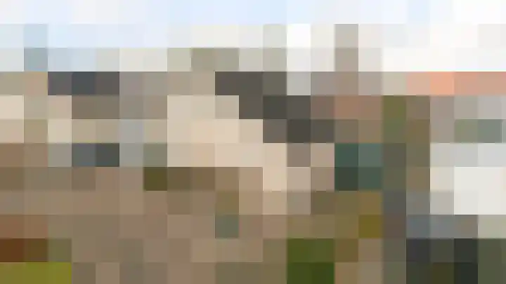 Den Bogerd 16 Esch thumbnail 39