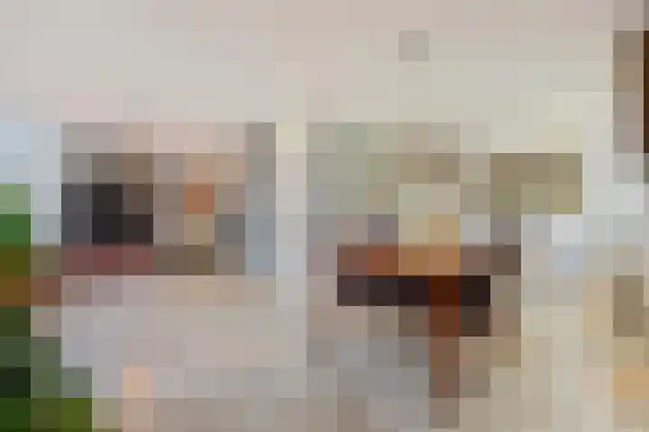 Den Bogerd 16 Esch thumbnail 4