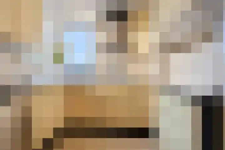 Den Bogerd 16 Esch thumbnail 6