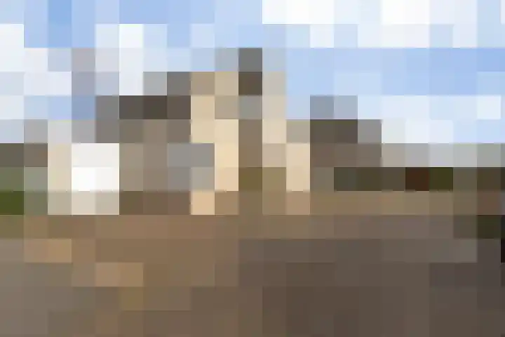 Den Bogerd 16 Esch thumbnail 8