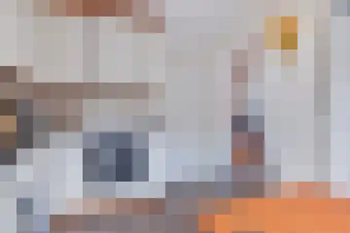 Den Bogerd 36 Esch thumbnail 15