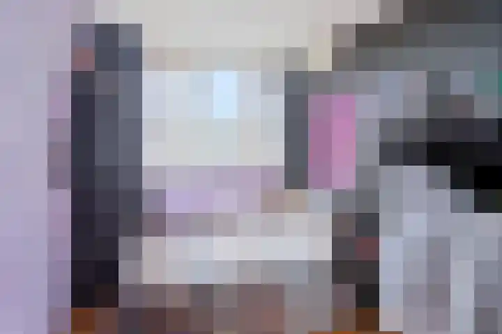 Den Bogerd 36 Esch thumbnail 22