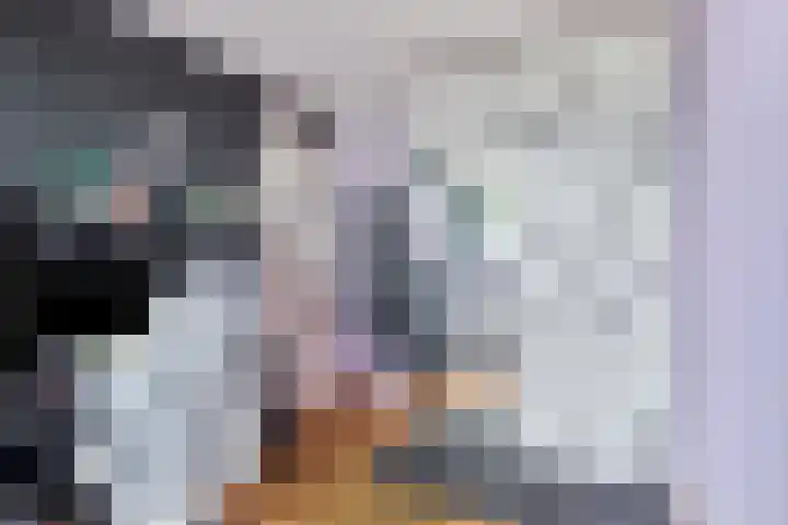 Den Bogerd 36 Esch thumbnail 23