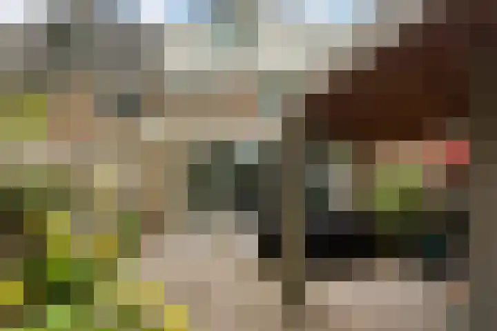 Den Bogerd 36 Esch thumbnail 26