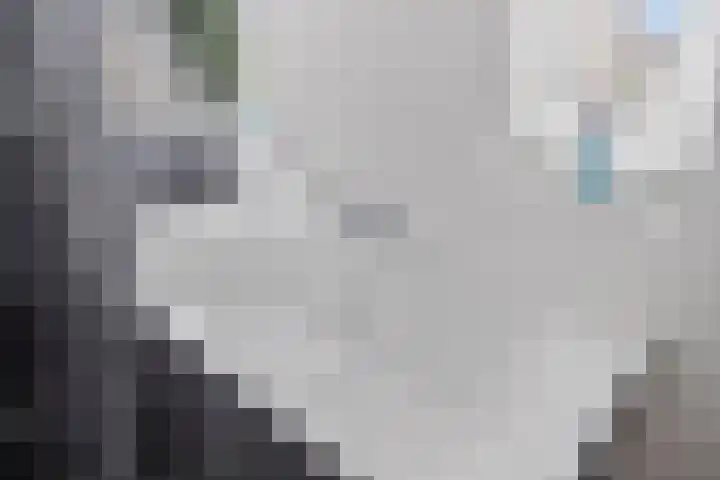 Den Bogerd 36 Esch thumbnail 30