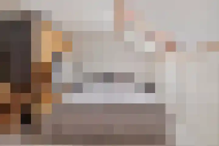 Den Bogerd 36 Esch thumbnail 32