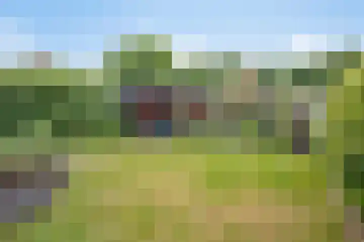 Den Bogerd 36 Esch thumbnail 34