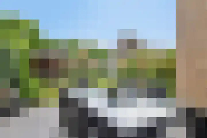 Den Bogerd 36 Esch thumbnail 35