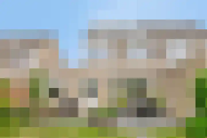 Den Bogerd 36 Esch thumbnail 37