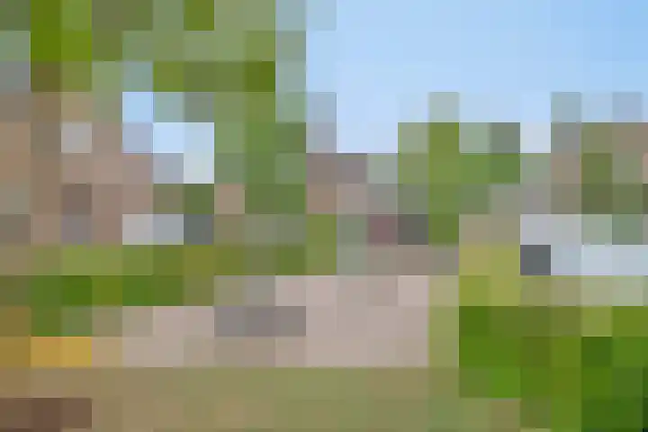 Den Bogerd 36 Esch thumbnail 38
