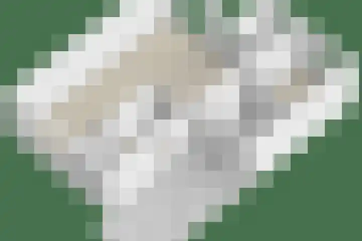 Den Bogerd 36 Esch thumbnail 40