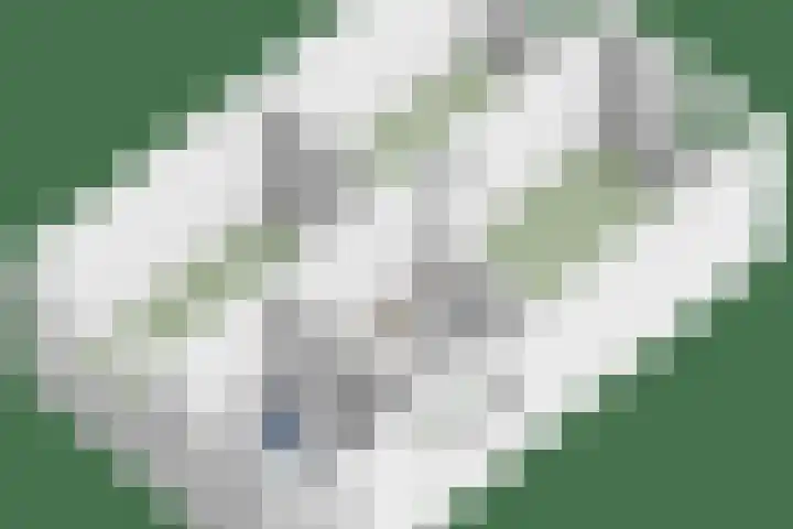 Den Bogerd 36 Esch thumbnail 42