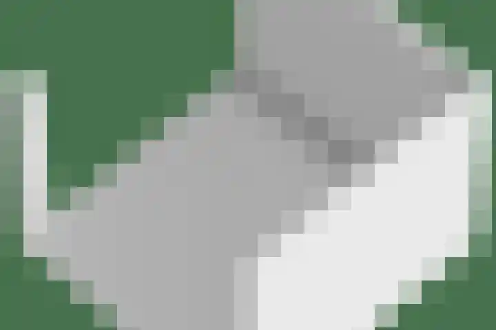 Den Bogerd 36 Esch thumbnail 46