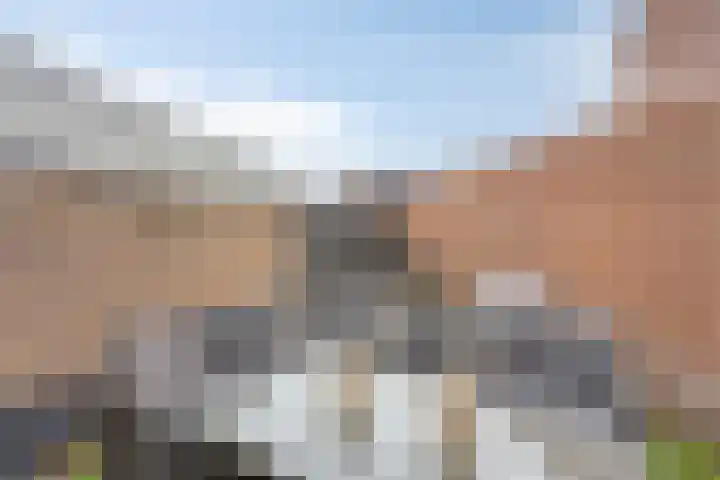 Den Boogerd 1 Heusden thumbnail 25