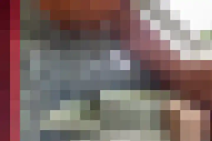 Den Borgweg 10 Rekken thumbnail 38