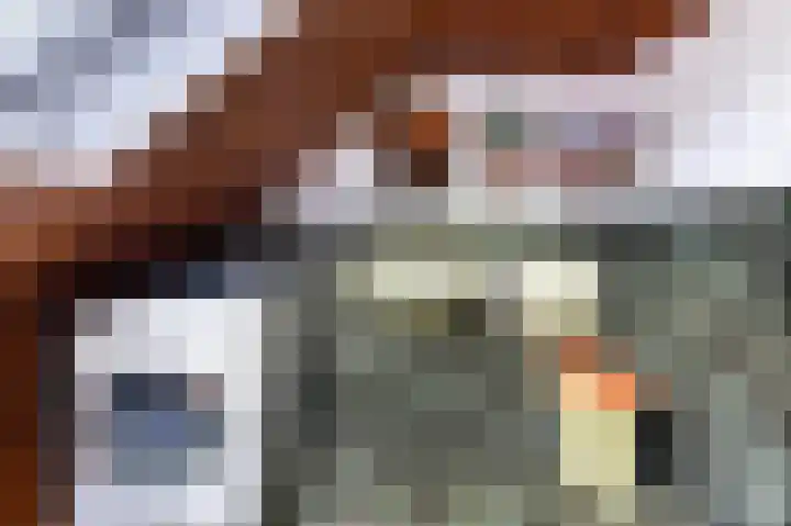 Den Borgweg 10 Rekken thumbnail 39