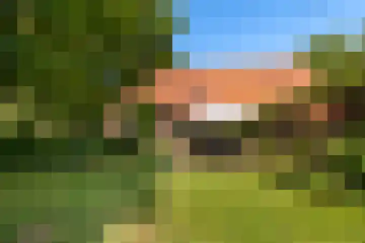 Den Borgweg 10 Rekken thumbnail 4
