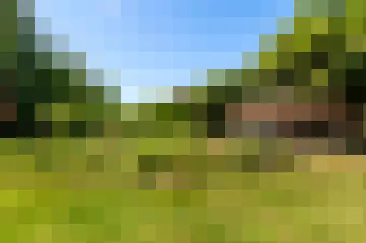 Den Borgweg 10 Rekken thumbnail 48